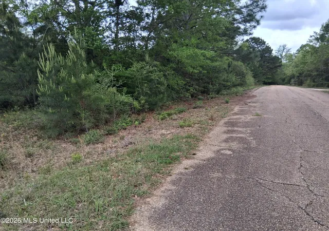 Homes for sale in Lumberton, MS | 0 E Ladner Dr, Lumberton, MS 39455 | MLS# 4144954