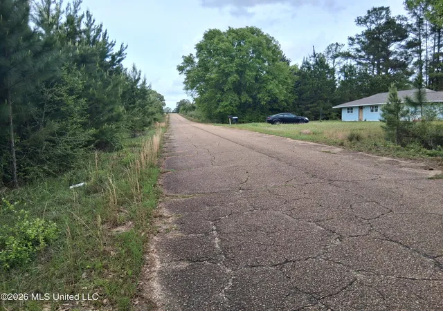 Homes for sale in Lumberton, MS | 0 E Ladner Dr, Lumberton, MS 39455 | MLS# 4144954