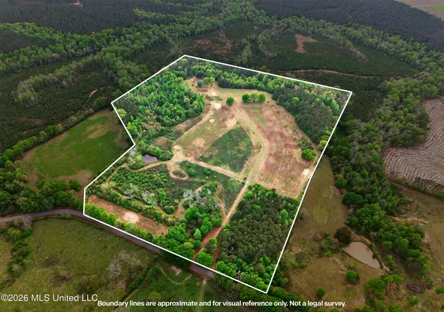 Homes for sale in Lumberton, MS | 86 Cripple Creek Ln, Lumberton, MS 39455 | MLS# 4144958