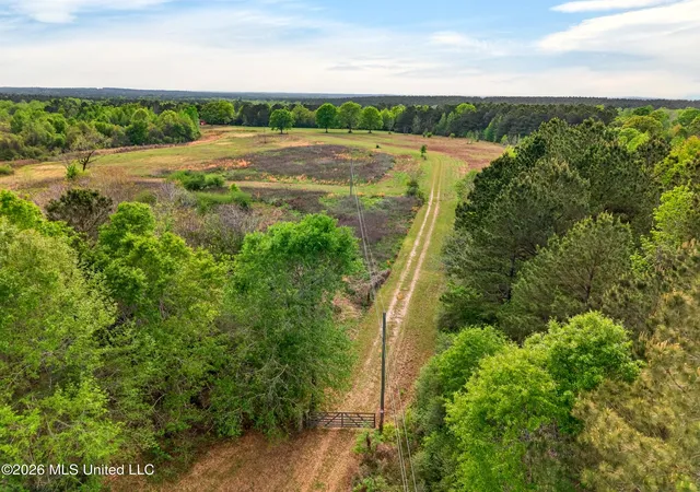 Homes for sale in Lumberton, MS | 86 Cripple Creek Ln, Lumberton, MS 39455 | MLS# 4144958