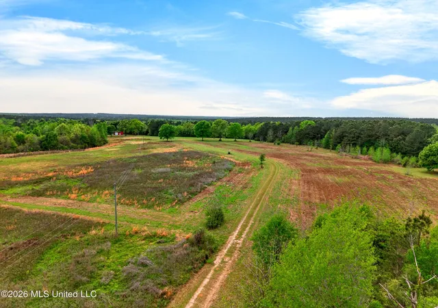 Homes for sale in Lumberton, MS | 86 Cripple Creek Ln, Lumberton, MS 39455 | MLS# 4144958