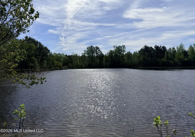 Homes for sale in Smithdale, MS | Chathaw Path, Smithdale, MS 39664 | MLS# 4145021
