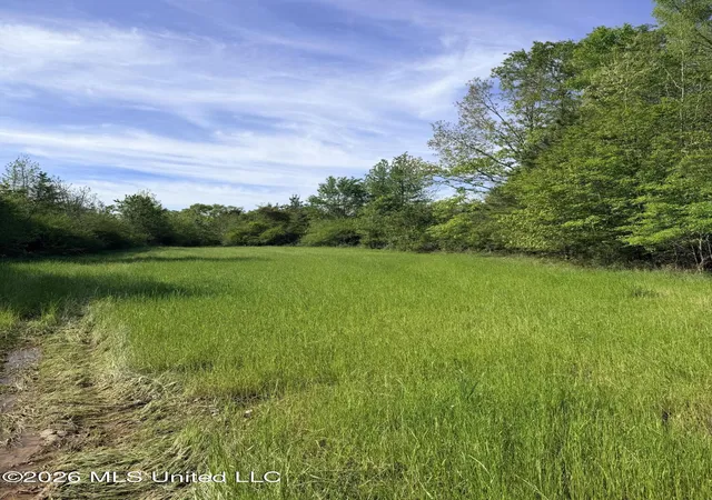 Homes for sale in Smithdale, MS | Chathaw Path, Smithdale, MS 39664 | MLS# 4145021