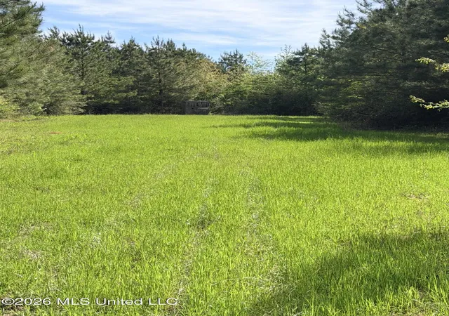 Homes for sale in Smithdale, MS | Chathaw Path, Smithdale, MS 39664 | MLS# 4145021