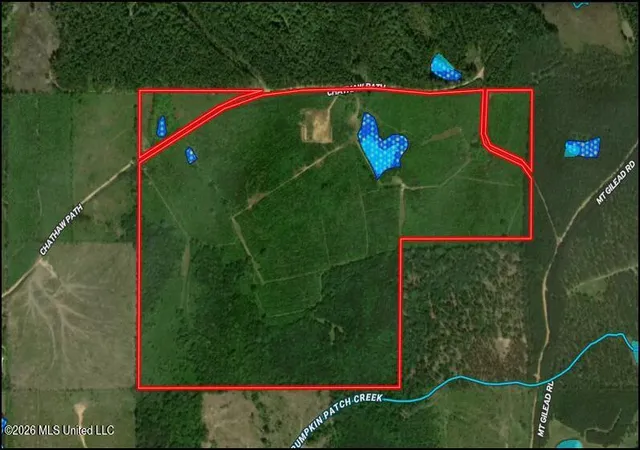 Homes for sale in Smithdale, MS | Chathaw Path, Smithdale, MS 39664 | MLS# 4145021