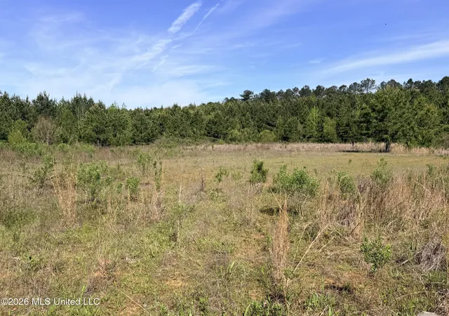 Homes for sale in Smithdale, MS | Chathaw Path, Smithdale, MS 39664 | MLS# 4145021
