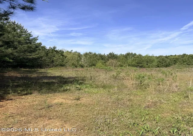 Homes for sale in Smithdale, MS | Chathaw Path, Smithdale, MS 39664 | MLS# 4145021