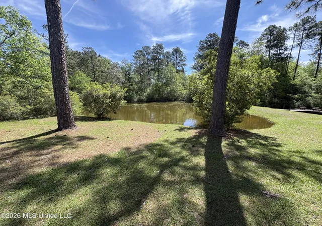 Photo 3 of Single family home for sale at 64 Lee Prine Dr, Perkinston, MS 39573 | MLS# 4145097 | Listing updated on 2026-10-01