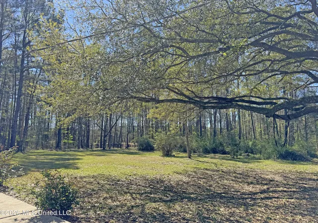 Homes for sale in Bogue Chitto, MS | 2434 Se Hwy 583, Bogue Chitto, MS 39629 | MLS# 4145072
