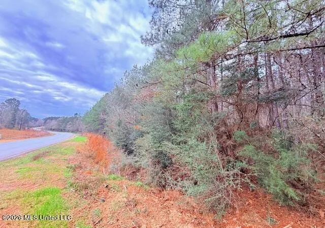 Homes for sale in Gloster, MS | Busy Corner Rd, Gloster, MS 39638 | MLS# 4145102