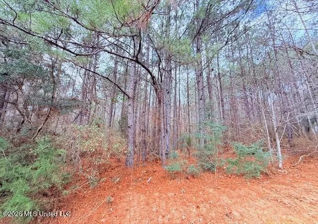 Homes for sale in Gloster, MS | Busy Corner Rd, Gloster, MS 39638 | MLS# 4145102