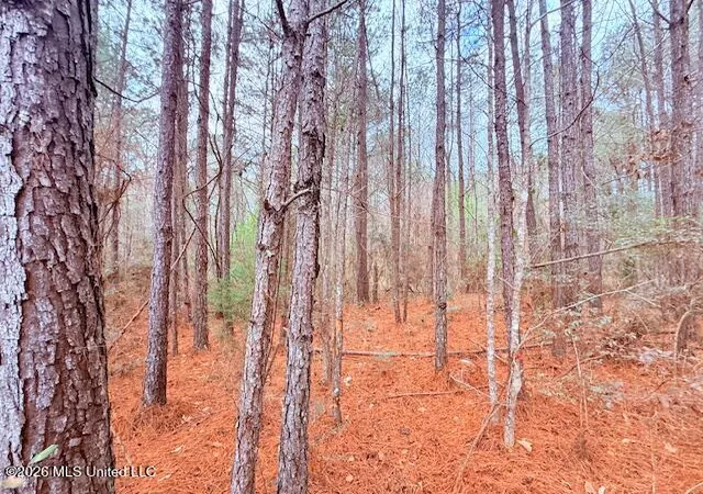 Homes for sale in Gloster, MS | Busy Corner Rd, Gloster, MS 39638 | MLS# 4145102