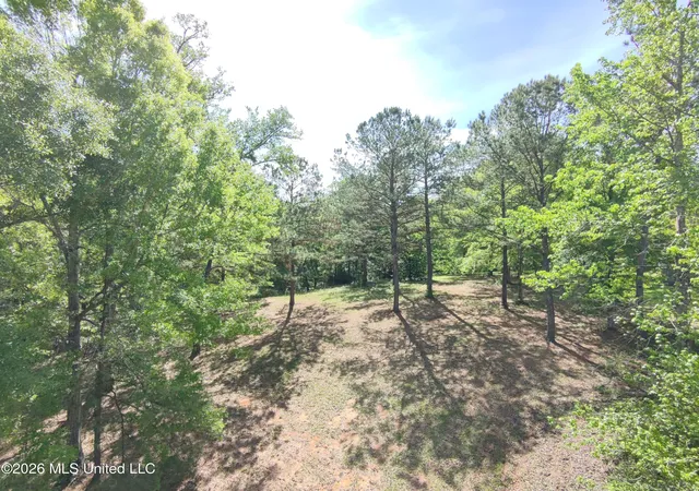 Photo 3 of Land for sale at Rue St Germaine, Carriere, MS 39426 | MLS# 4145153 | Listing updated on 2026-05-19