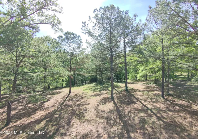 Photo 4 of Land for sale at Rue St Germaine, Carriere, MS 39426 | MLS# 4145153 | Listing updated on 2026-05-19