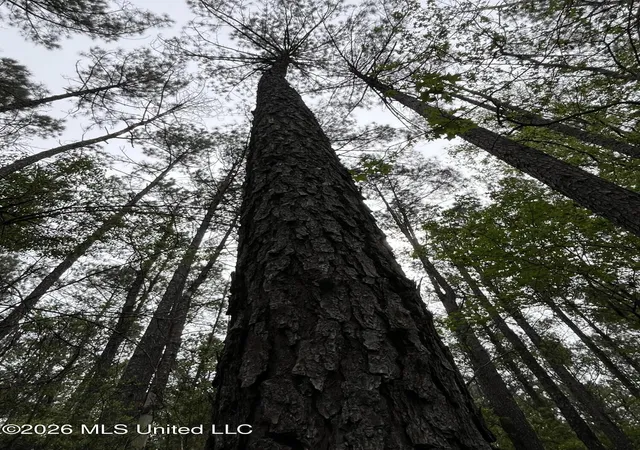 Photo 1 of Land for sale at Highway 49, Brooklyn, MS 39425 | MLS# 4145113 | Listing updated on 2026-04-11