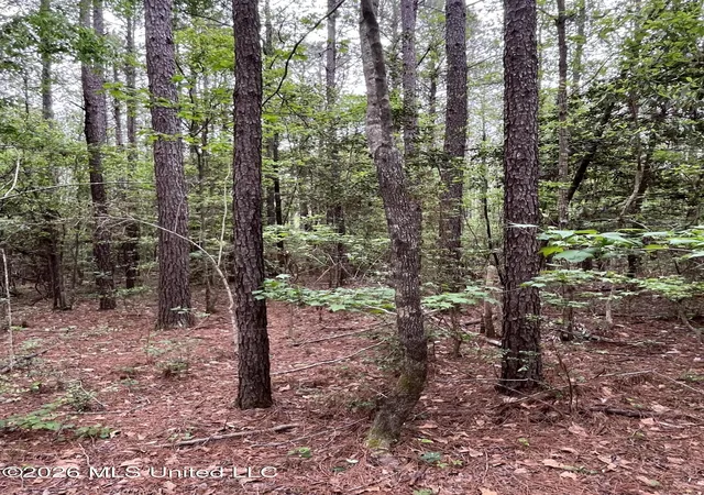 Photo 2 of Land for sale at Highway 49, Brooklyn, MS 39425 | MLS# 4145113 | Listing updated on 2026-04-11