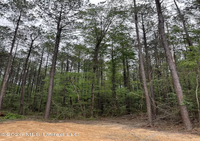 Photo 3 of Land for sale at Highway 49, Brooklyn, MS 39425 | MLS# 4145113 | Listing updated on 2026-04-11