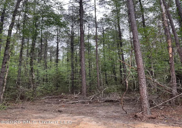 Photo 3 of Land for sale at Highway 49, Brooklyn, MS 39425 | MLS# 4145113 | Listing updated on 2026-04-11