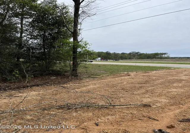 Photo 4 of Land for sale at Highway 49, Brooklyn, MS 39425 | MLS# 4145113 | Listing updated on 2026-04-11
