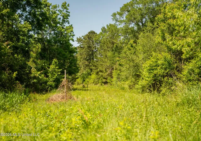 Homes for sale in Brookhaven, MS | 1311 N Jackson St, Brookhaven, MS 39601 | MLS# 4145218