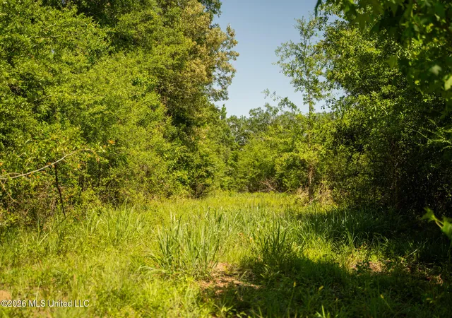 Homes for sale in Brookhaven, MS | 1311 N Jackson St, Brookhaven, MS 39601 | MLS# 4145218
