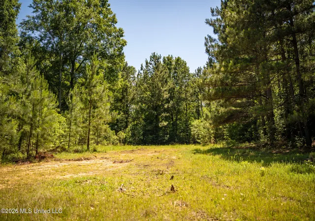 Photo 1 of Land for sale at 1203 Love St, Brookhaven, MS 39601 | MLS# 4145228 | Listing updated on 2026-06-25