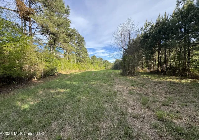 Photo 2 of Land for sale at 1311a N Jackson St, Brookhaven, MS 39601 | MLS# 4145240 | Listing updated on 2026-04-11