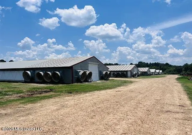 Homes for sale in Bogue Chitto, MS | 1097 Sw Montgomery Rd, Bogue Chitto, MS 39629 | MLS# 4145271