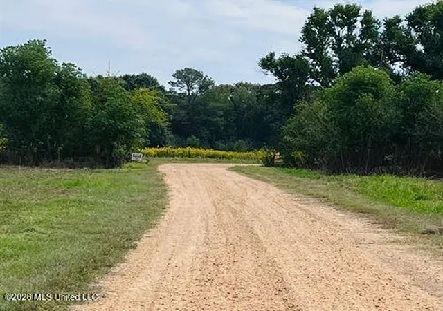 Homes for sale in Bogue Chitto, MS | 1097 Sw Montgomery Rd, Bogue Chitto, MS 39629 | MLS# 4145271