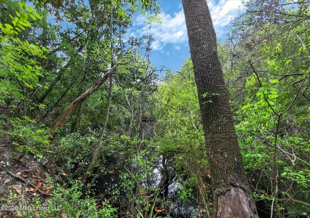 Homes for sale in Kiln, MS | 7061 Bayou Talla Ln, Kiln, MS 39556 | MLS# 4145540