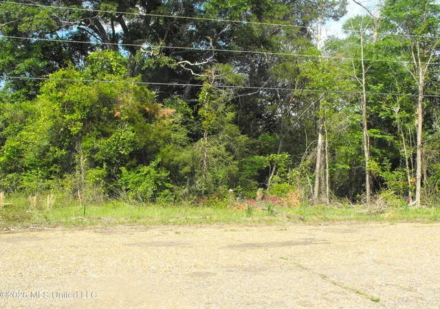 Photo 3 of Land for sale at Terry Rd, Jackson, MS 39212 | MLS# 4145579 | Listing updated on 2026-04-11