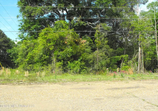 Photo 3 of Land for sale at Terry Rd, Jackson, MS 39212 | MLS# 4145579 | Listing updated on 2026-04-11