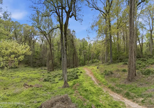 Photo 2 of Land for sale at 7 Nail Rd, Walls, MS 38680 | MLS# 4145714 | Listing updated on 2026-04-16