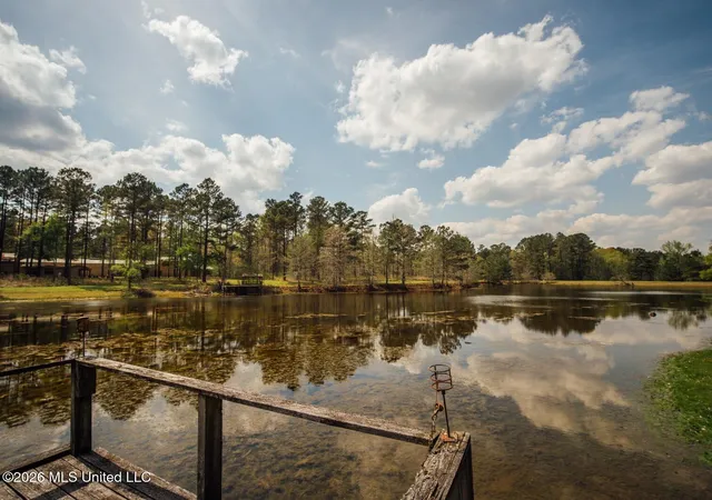 50th image of 853 Spring Water Ranch Rd, Brandon, MS 39042 | MLS# 4145504