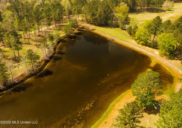 5th image of 853 Spring Water Ranch Rd, Brandon, MS 39042 | MLS# 4145504