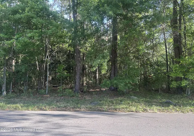 Photo 4 of Land for sale at Martin Luther King Blvd, Moss Point, MS 39563 | MLS# 4145758 | Listing updated on 2026-04-13