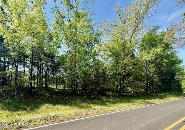 1st image of 10832 Woolsey Rd, Olive Branch, MS 38654 | MLS# 4145640