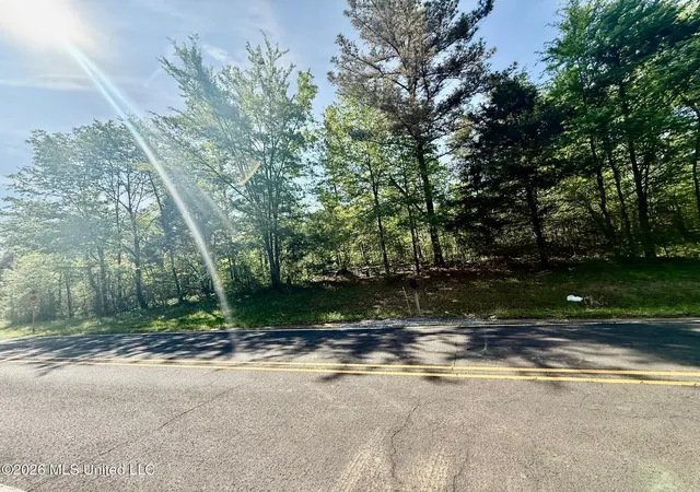 2nd image of 10832 Woolsey Rd, Olive Branch, MS 38654 | MLS# 4145640