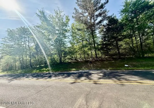 Photo 3 of Land for sale at 10832 Woolsey Rd, Olive Branch, MS 38654 | MLS# 4145640 | Listing updated on 2026-04-11