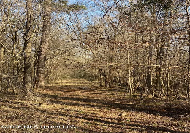 Homes for sale in Gloster, MS | Tbd County Road 48, Gloster, MS 39638 | MLS# 4145699