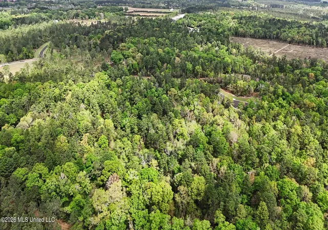 16th image of Lot 6 Pine Ridge Ln, Lucedale, MS 39452 | MLS# 4145727
