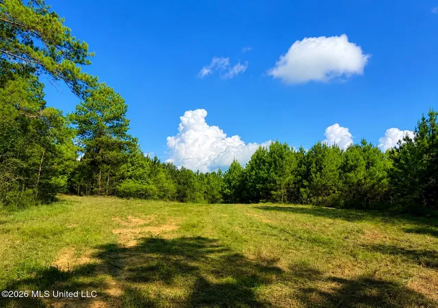 Homes for sale in Bogue Chitto, MS | 00 Sw Auburn Dr, Bogue Chitto, MS 39629 | MLS# 4145722