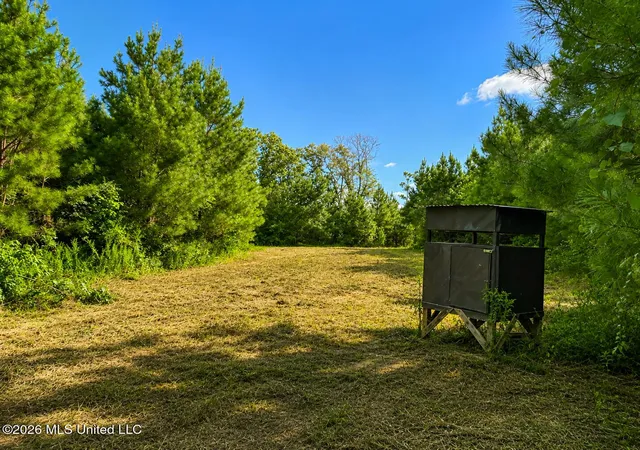 Homes for sale in Bogue Chitto, MS | 00 Sw Auburn Dr, Bogue Chitto, MS 39629 | MLS# 4145722