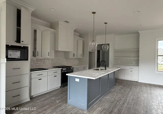 Photo 2 of Single family home for sale at 201 Jasmine Cvs Cir, Brandon, MS 39042 | MLS# 4145875 | Listing updated on 2026-09-07