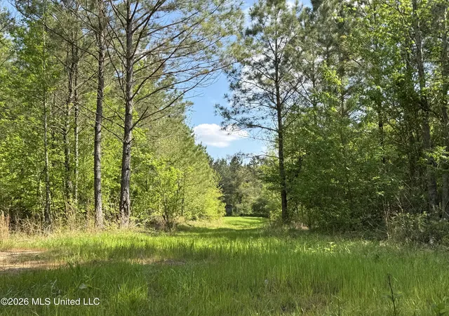 Photo 1 of Land for sale at 1479 Truesdale Rd, Carthage, MS 39051 | MLS# 4146002 | Listing updated on 2026-04-15