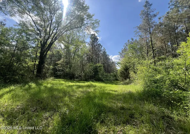 Photo 2 of Land for sale at 1479 Truesdale Rd, Carthage, MS 39051 | MLS# 4146002 | Listing updated on 2026-04-15
