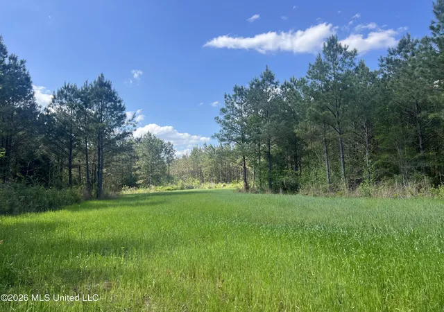 Photo 3 of Land for sale at 1479 Truesdale Rd, Carthage, MS 39051 | MLS# 4146002 | Listing updated on 2026-04-15