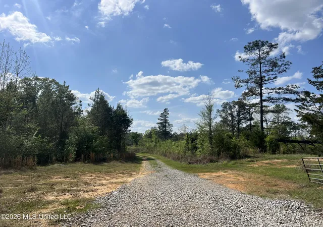 Photo 3 of Land for sale at 1479 Truesdale Rd, Carthage, MS 39051 | MLS# 4146002 | Listing updated on 2026-04-15
