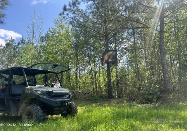 Photo 4 of Land for sale at 1479 Truesdale Rd, Carthage, MS 39051 | MLS# 4146002 | Listing updated on 2026-04-15