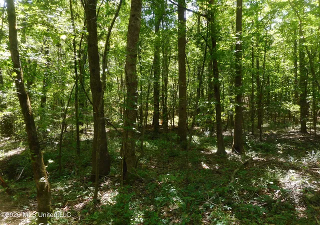 Homes for sale in Lena, MS | Hwy 25, Lena, MS 39094 | MLS# 4145939